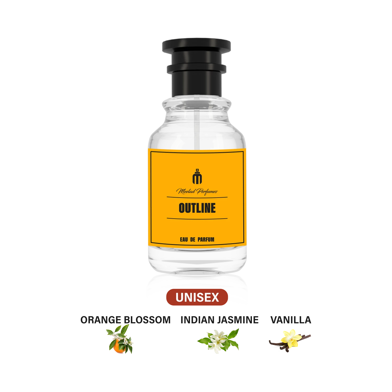 Meelad-Perfumes-Outline-MP49063